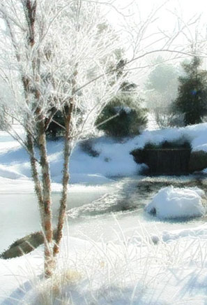 Winter Scene by Kar Shepherd, Kabob Images and Design